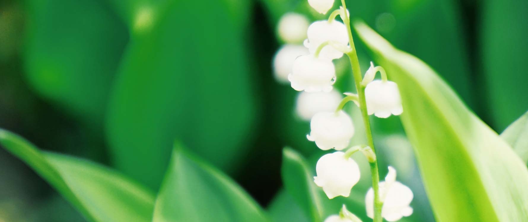 キービジュアルイメージ01